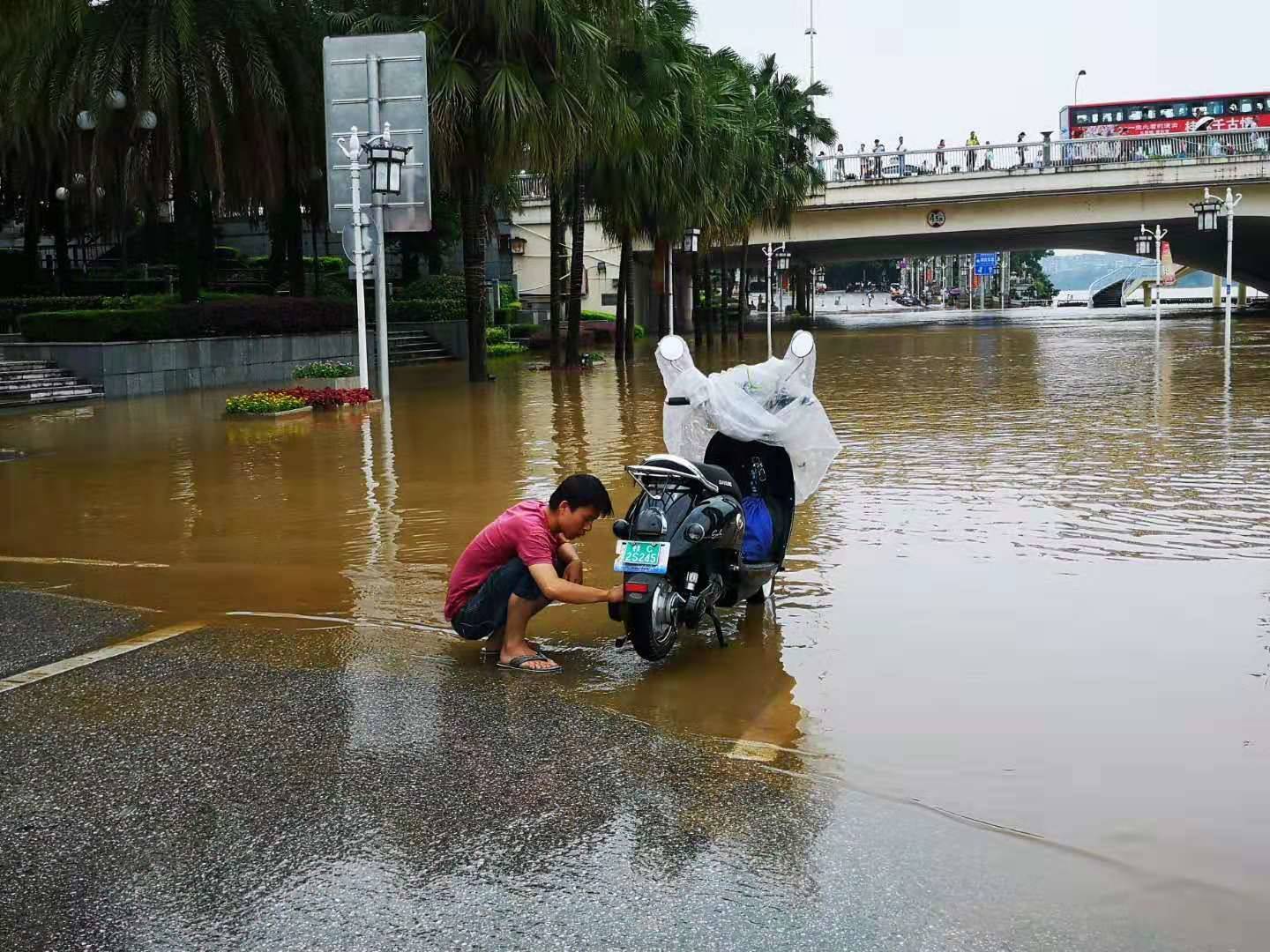 攀枝花市米易县做优水生态 构建河湖保护新机制