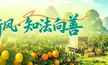 贵港市平南县司法局寺面司法所：空调外机噪音起纠纷，情理法融促和谐