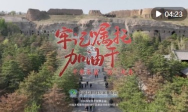 牢记嘱托加油干｜千年石窟“活”起来