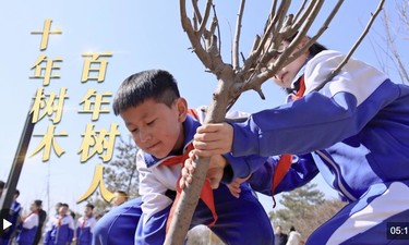 时政长镜头｜十年树木 百年树人