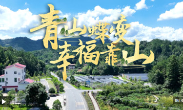 近观“两山”丨青山蝶变幸福靠山