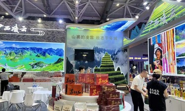 “苏故乡”破圈记：一杯凌云白毫茶的山海之约