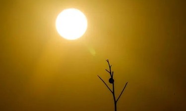 以色列极端高温达到顶峰，局地温度将达到45℃