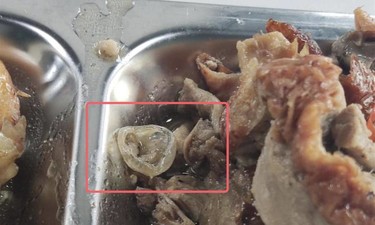广州增城通报华世科教食堂饭菜异物检测情况：高度可能为鸭眼球巩膜结构