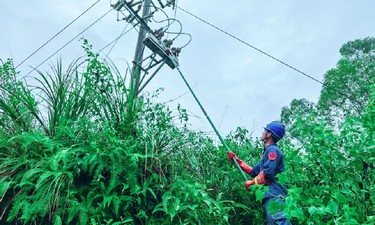 广西受“桦加沙”影响用户全面复电