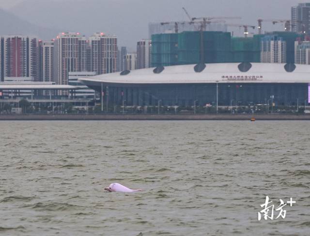 南方+ 石磊 拍攝