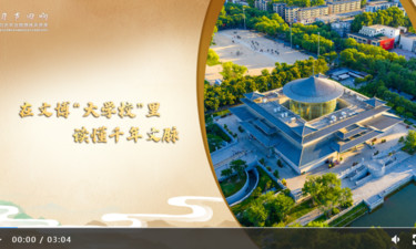【习声回响·文韵中国】在文博“大学校”里读懂千年文脉