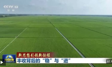 新思想引领新征程丨丰收背后的“稳”与“进”