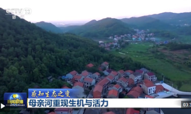 感知生态之变丨母亲河重现生机与活力