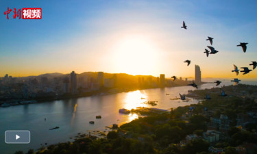 时政微视频丨习近平与世界遗产：鼓浪琴韵