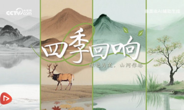 绿水青山间｜四季回响