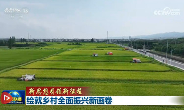 【新思想引领新征程】绘就乡村全面振兴新画卷