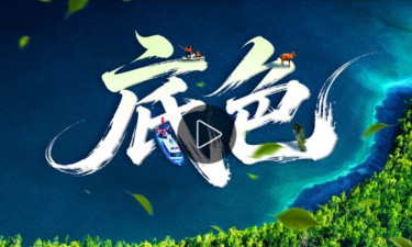 和谐共生｜底色