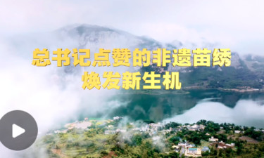 学习·知行丨总书记点赞的非遗苗绣焕发新生机
