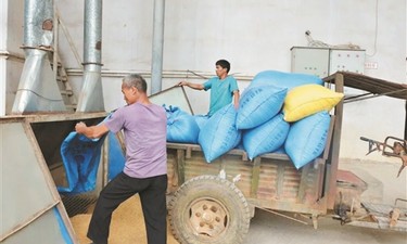 用一粒种子 点亮公益之路