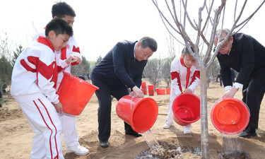 镜观·领航｜这些照片，记录着总书记的植绿坚守