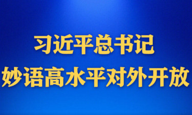 學習進行時｜習近平總書記妙語高水平對外開放