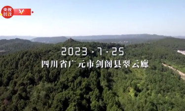 时政微纪录丨赓续历史文脉 谱写当代华章——习近平总书记川陕之行的文明印记