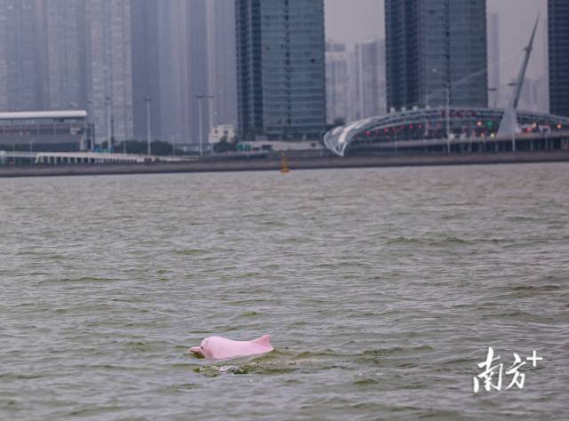 南方+ 石磊 拍攝