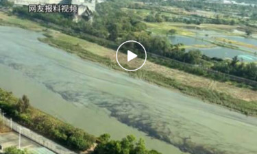福田口岸深圳河段现污染？官方回应：系赤潮​，无需人为干预