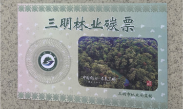 学习·故事 | 空气能卖钱的“碳票第一村”