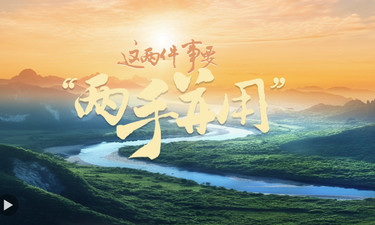 一见·“这两件事要‘两手并用’”
