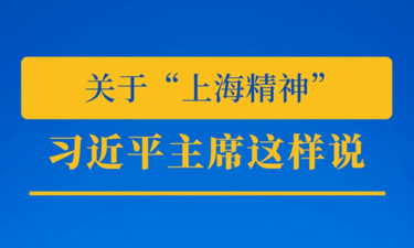 推动上合组织发展，习近平主席这样说