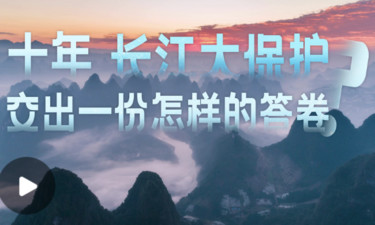 和谐共生丨长江的答案