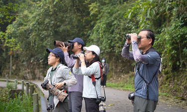 观鸟带火边境游！百色那坡打造“羽翼经济”，成乡村振兴新引擎