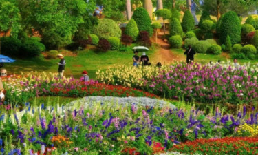 数读中国开局新活力丨游客涨、预订旺 “春日经济”催热八桂消费市场