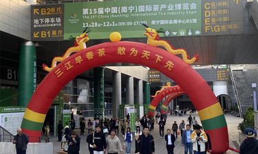 桂茶领衔，万品汇聚！第15届南宁茶博会盛大开幕