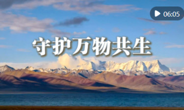 微视频｜守护万物共生