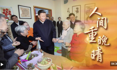 時(shí)政微視頻丨人間重晚晴