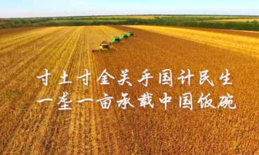 总书记的关切·落地的回响 | 保护黑土地 大国粮仓更稳固
