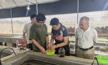 种源赋能壮药振兴，广西首批野生优质金边蚂蟥原生种源正式入栏繁育