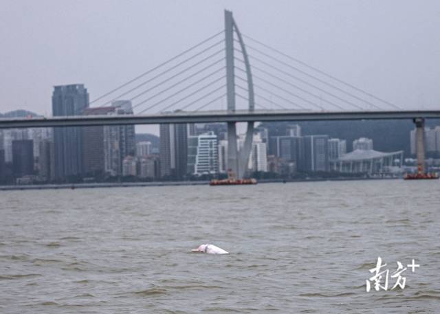 南方+ 石磊 拍攝