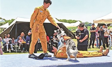 从菌株源头守护“毛孩子”肠道健康！微康益生菌引领宠物益生菌专业化浪潮