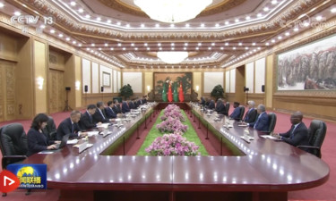习近平会见非盟委员会主席法基