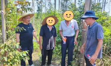 化解山林权属积案 法治护航乡村和谐——玉林市容县县底镇成功化解一起跨镇涉众型山林权属历史积案