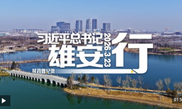 时政微纪录丨习近平总书记雄安行