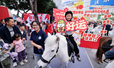 品美食、看矮马、领春联……2026广西品牌大集收官，桂品尽显风采