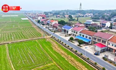 习近平湖南行丨强化农业科技支撑 绘就乡村全面振兴新画卷——走进常德市鼎城区谢家铺镇港中坪村