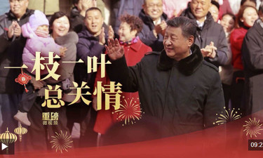 重磅微视频丨一枝一叶总关情