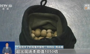 旅客入境核辐射超标千倍？只因随身带了这个东西