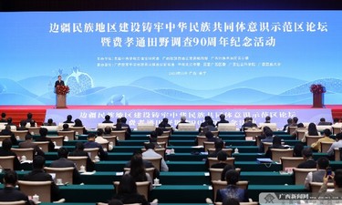 边疆民族地区建设铸牢中华民族共同体意识示范区论坛暨费孝通田野调查90周年纪念活动在南宁举行 丁仲礼陈刚出席并致辞