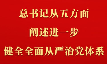 第一观察｜总书记从五方面阐述进一步健全全面从严治党体系