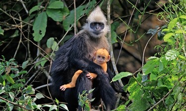 有人接力护猴，有人跨国“闯关”……在这场宣讲会上，他们亮出了广西青年该有的样子