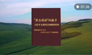 视频画报｜“黄金搭档”的握手——习近平主席的巴西利亚时间