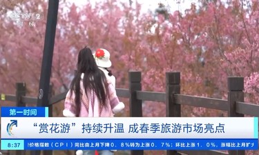 热度同期上涨超3倍！“赏花游”持续升温，成春季旅游市场亮点