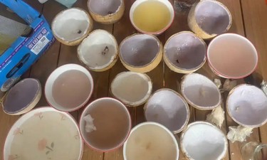 山姆椰皇被指变质致儿童腹泻：6个椰子4个果肉发紫，消费者拒300元赔偿维权无果